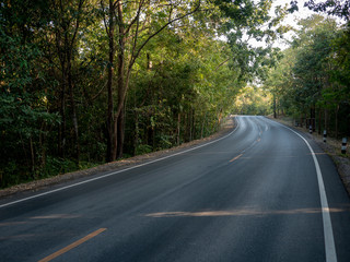 the road to in the wild