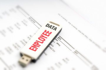 Obraz premium Pendrive financial concept.