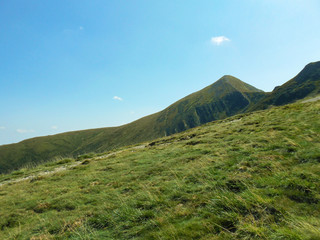 View from the Carpathian path to the top of the Goverla. Location of the Carpathians, Ukraine, Europe. Natural spruce forests in the Carpathians.