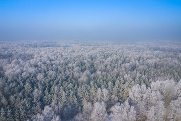 Rime and hoarfrost covering trees. Aerial view of the snow-covered forest and lake from above. Winter scenery. Landscape photo captured with drone.