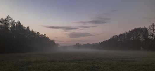 Misty sunset meadow