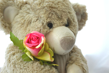 teddy bear with flower
