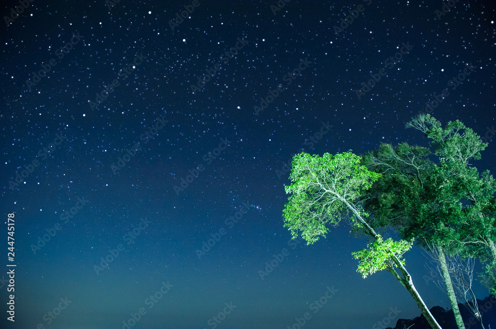 Wall mural starry night sky fully with the stars