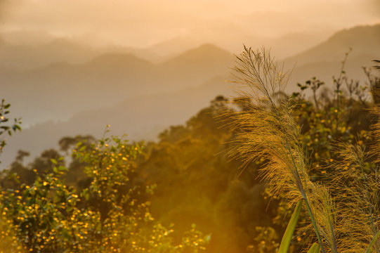 beautiful sunrise golden time in the morning at khun sathan national park in thailand