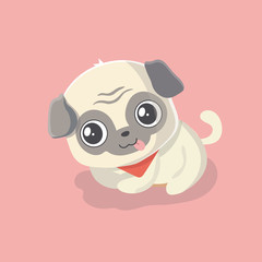 Cute puppy pug on pastel background.
