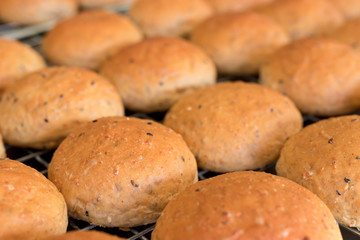 freshly baked bread