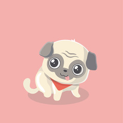 Cute puppy pug on pastel background.