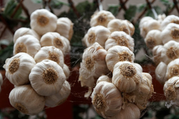 Bunches of garlic hanging in a market. View from above