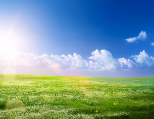 spring landscape background; spring flowering and blue sunny sky