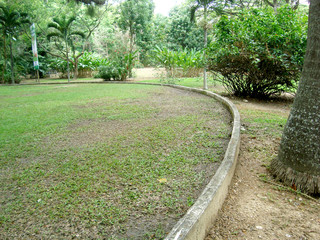 Fototapeta premium Path in Park