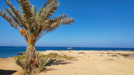 cyprus holiday beautiful tropical day  horizontal © Pawel