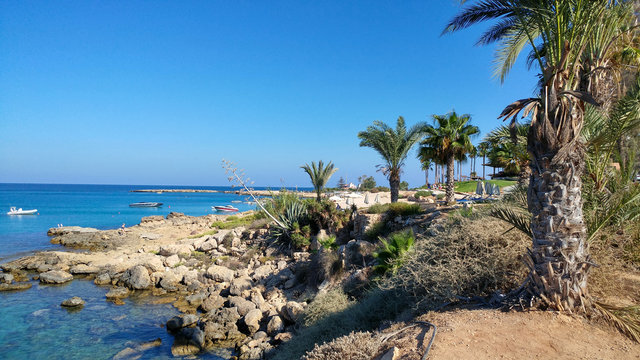 cyprus holiday tropical day