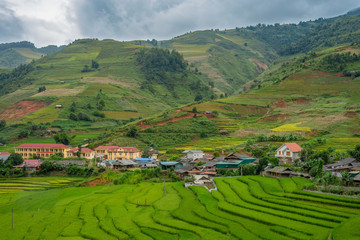 Beautiful of growing golden paddy rice field on hill in background at Mu cang chai local village on harvest season, Mu cang chai, Yenbai , Northwest of Vietnam