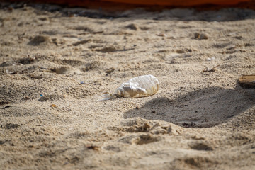 Garbage plastic bottle in the sand