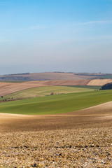 Fototapeta na wymiar A patchwork landscape in Sussex, on a sunny winters day