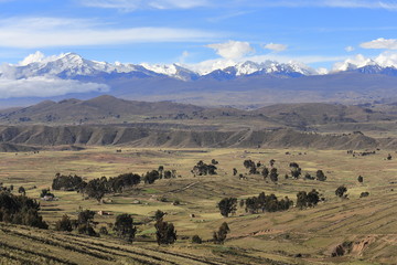 Andine Landschaft nahe Huatajata in Bolivien