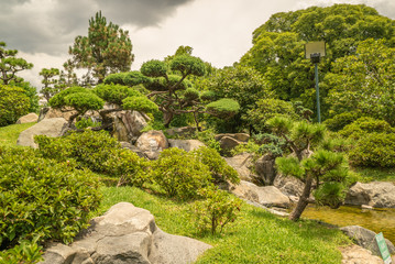 exotic trees in a japanese park in Buenos Aires