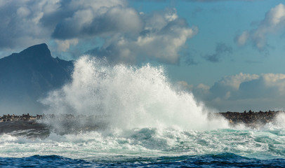 Big waves break on the rocks in the sea against the backdrop of the coastline. Beautiful seascape.  A beautiful moment. Very dynamic photo. Cape Town. False Bay. South Africa.