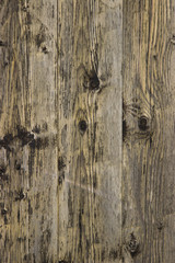 Wood texture - Image