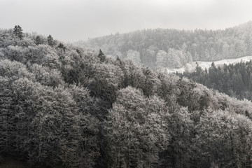 Fototapeta na wymiar Verschneiter Wald