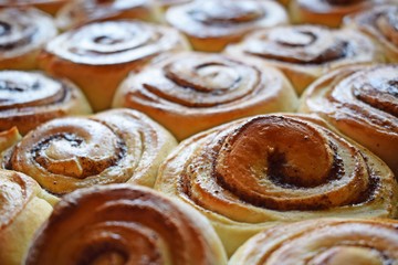Delicious cinnamon rolls.Dessert for tea.