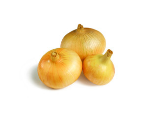 onions on white background