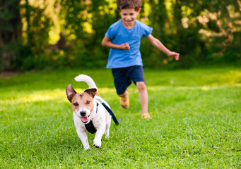 Naughty dog with leash on ground running from his handler