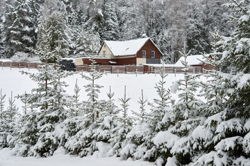 Cottage next to the forest.