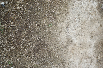 Top view of ground with dead grass and oCement floor. Background/texture.,abstract background