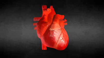 Watercolor Realistic Human Heart On Black Background. 3D illustration
