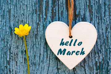 Hello March greeting card with decorative white heart and yellow spring flower on old blue wooden background.Springtime concept.