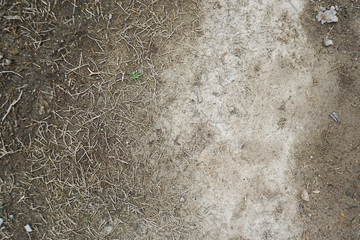 Top view of ground with dead grass and old Cement floor. Background/texture.