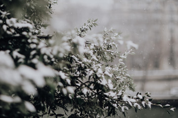 Paysage parisien sous la neige