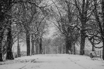 Paysage parisien sous la neige 