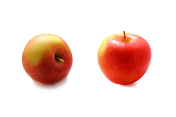 ripe  apple fruit   isolated on white background with clipping path