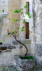 Matera old town, UNESCO World Heritage Site, European Capital of Culture 2019. Basilicata, Italy