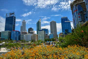 Skyline of Perth downtown seen from Elizabeth Quay with colorful flowers in foreground