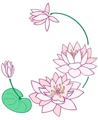 Water lily flowers border design