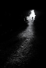 Fototapeta premium mysterious man on a path