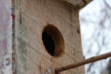 the house of the little bird awaits the owner