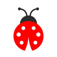 Lady bug vector icon © Arcady