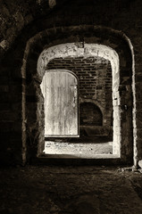 Medieval cellar with wooden door and brick walls.