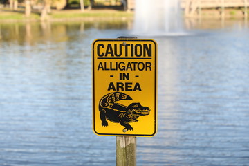 Caution Aligator Sign