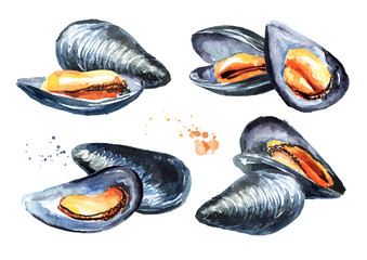 Mussels set, seafood. Watercolor hand drawn illustration isolated on white background