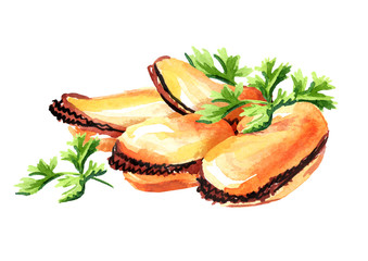 Mussels with green leaf, seafood, Watercolor hand drawn illustration, isolated on white background