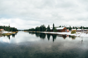 Fototapeta premium River in the winter spruce woods