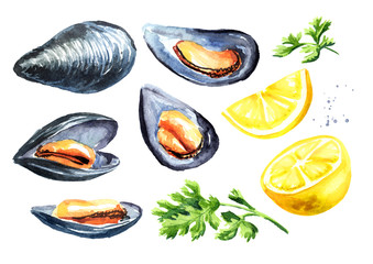 Mussels with lemon and herb, seafood set. Watercolor hand drawn illustration isolated on white background