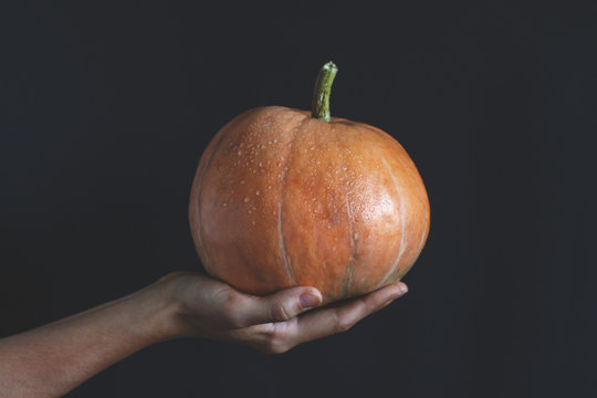 Orange pumpkin in female hahd on black background. Minimalism. Copy space. Vegetable, organic food concept.