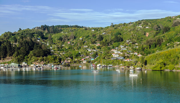 Dunedin 9010