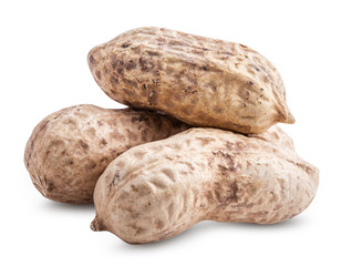 Peanut isolated on white background
